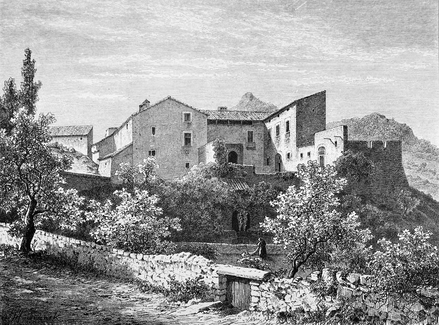 Before image